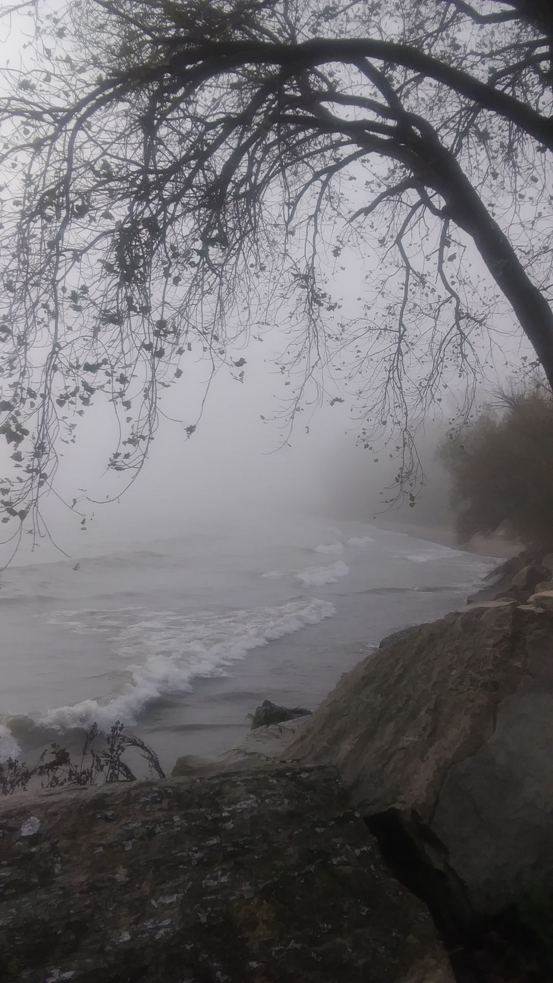 Virgil Warner: Foggy beach